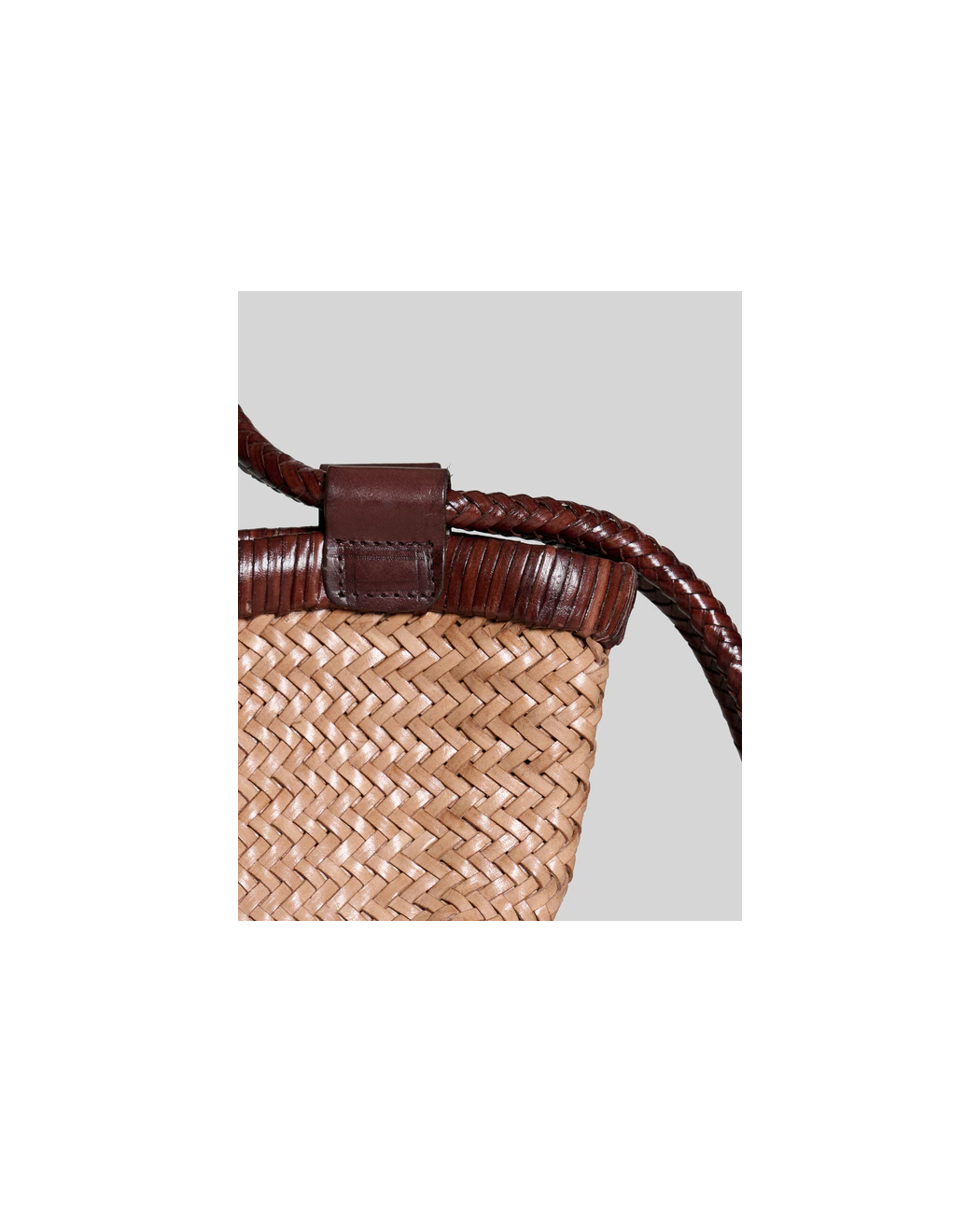 GAUGUIN TAUPE CHOCOLATE
